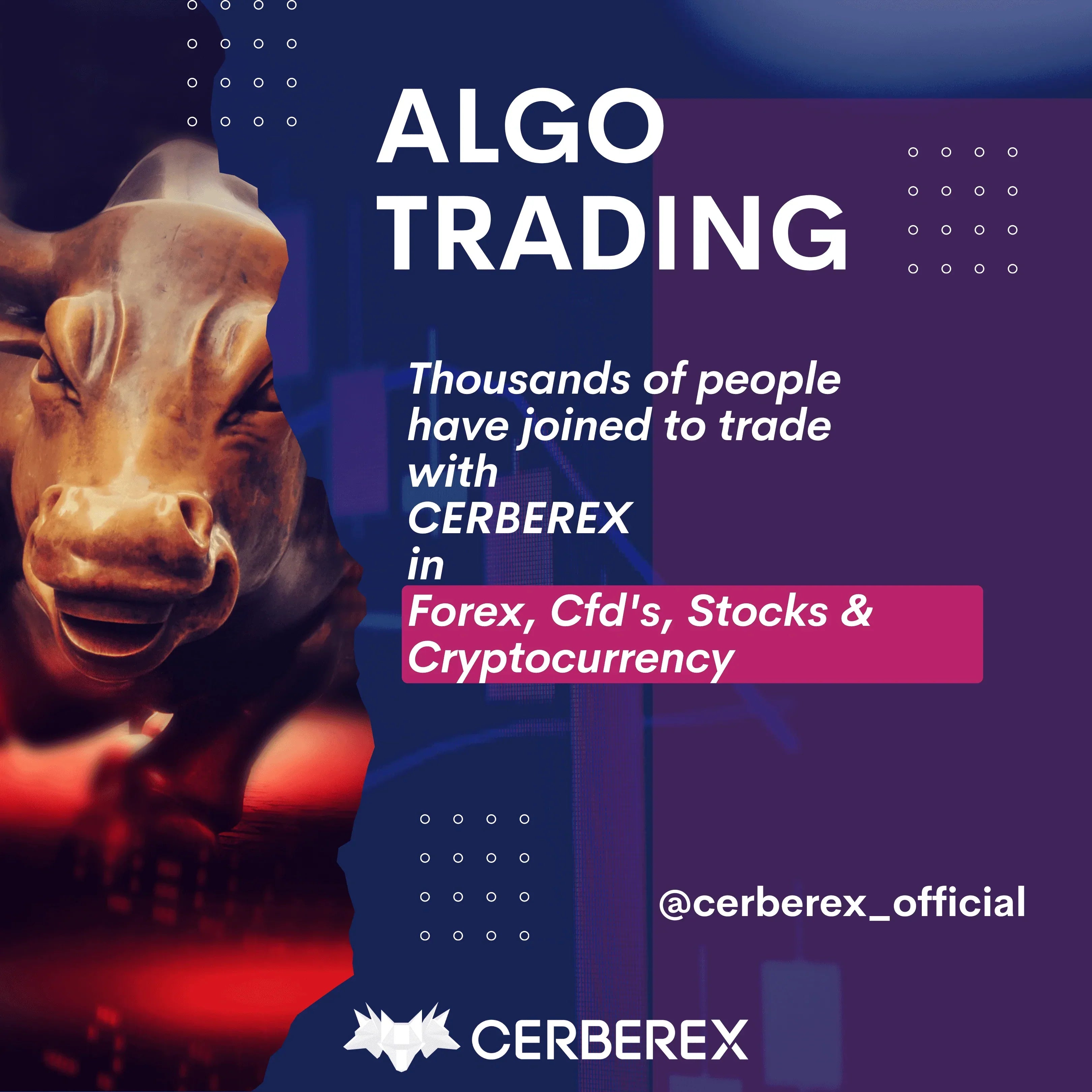 Cerberex Algo Trading US$10,000 Recovery Plan. - Cerberex 